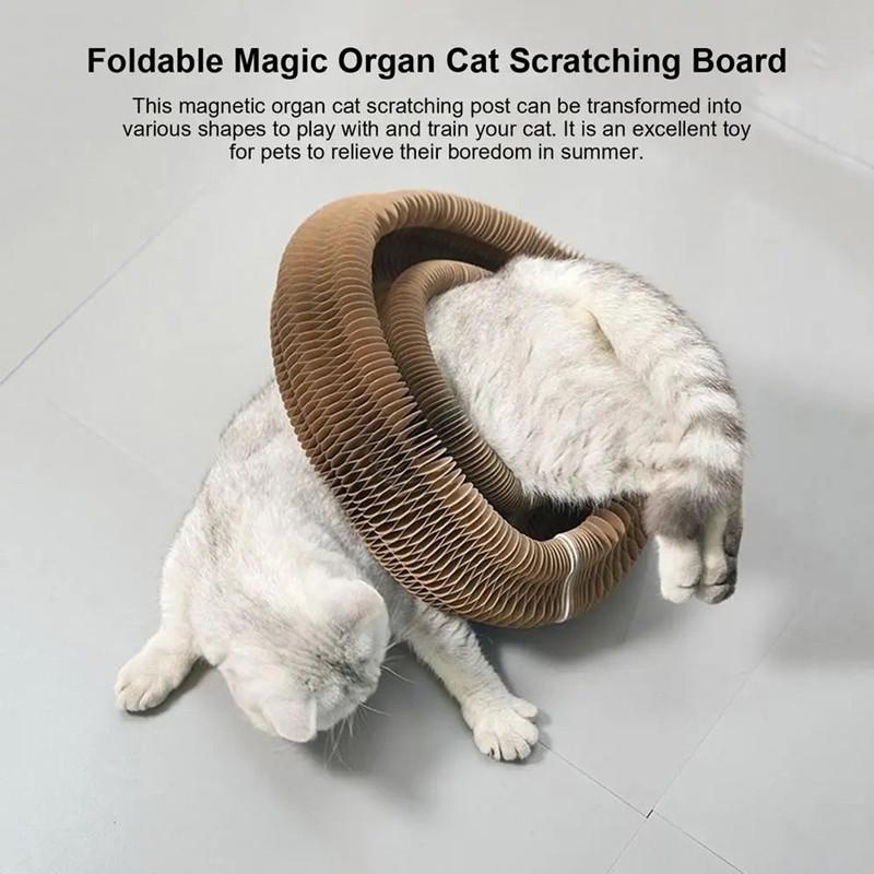 Foldable Cat Toy, Cat Scratcher with Bell, Durable Cat Scratching Toy, Funny Interactive Pet Scratching Toy, Pet Supplies for Indoor Outdoor Use