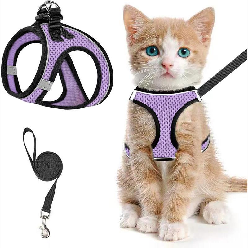 2pcs Adjustable Pet Harness & Leash Set, Breathable Mesh Cat Harness With No Tangle Leash, Pet Supplies For Outdoor Walking