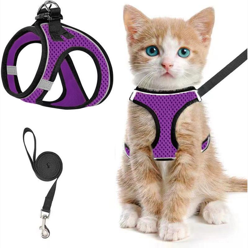 2pcs Adjustable Pet Harness & Leash Set, Breathable Mesh Cat Harness With No Tangle Leash, Pet Supplies For Outdoor Walking