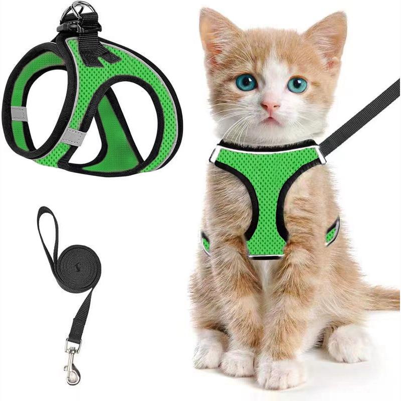 2pcs Adjustable Pet Harness & Leash Set, Breathable Mesh Cat Harness With No Tangle Leash, Pet Supplies For Outdoor Walking