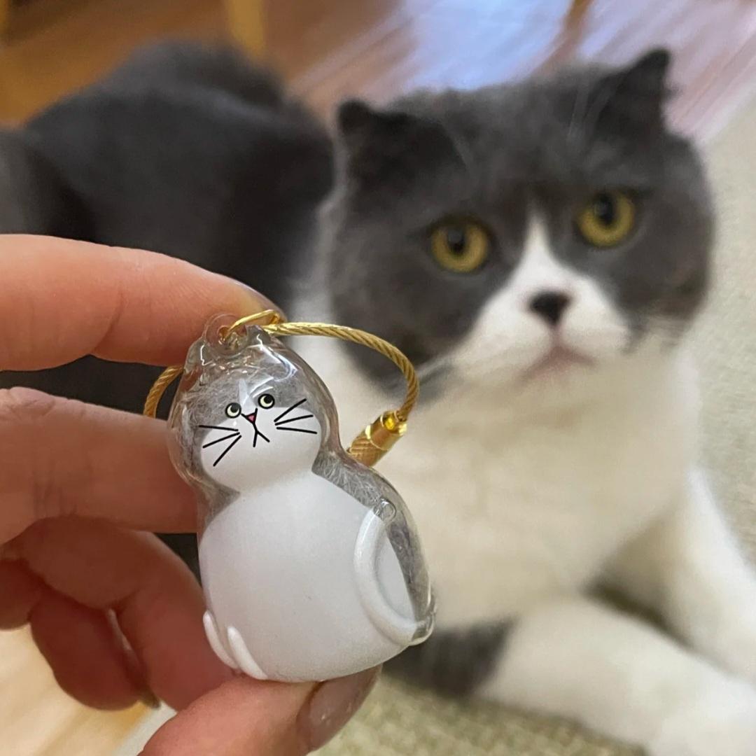 Cat Fur Memory Charm, Transparent Fur Storage Keychain, 6 Cute Designs, Mini Fur Collector, Sentimental Keepsake Pendant, Pet Memorial Gift, Cat Mom Must-Have Personalized