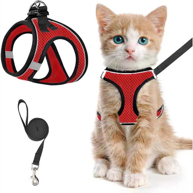 2pcs Adjustable Pet Harness & Leash Set, Breathable Mesh Cat Harness With No Tangle Leash, Pet Supplies For Outdoor Walking