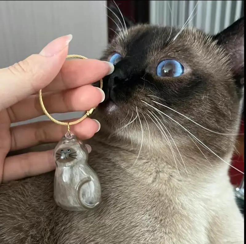 Cat Fur Memory Charm, Transparent Fur Storage Keychain, 6 Cute Designs, Mini Fur Collector, Sentimental Keepsake Pendant, Pet Memorial Gift, Cat Mom Must-Have Personalized