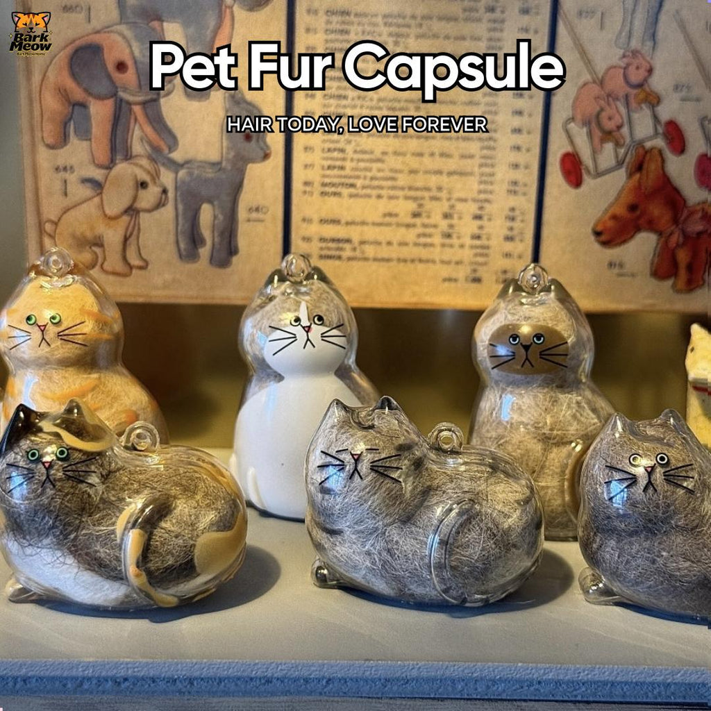 Cat Fur Memory Charm, Transparent Fur Storage Keychain, 6 Cute Designs, Mini Fur Collector, Sentimental Keepsake Pendant, Pet Memorial Gift, Cat Mom Must-Have Personalized