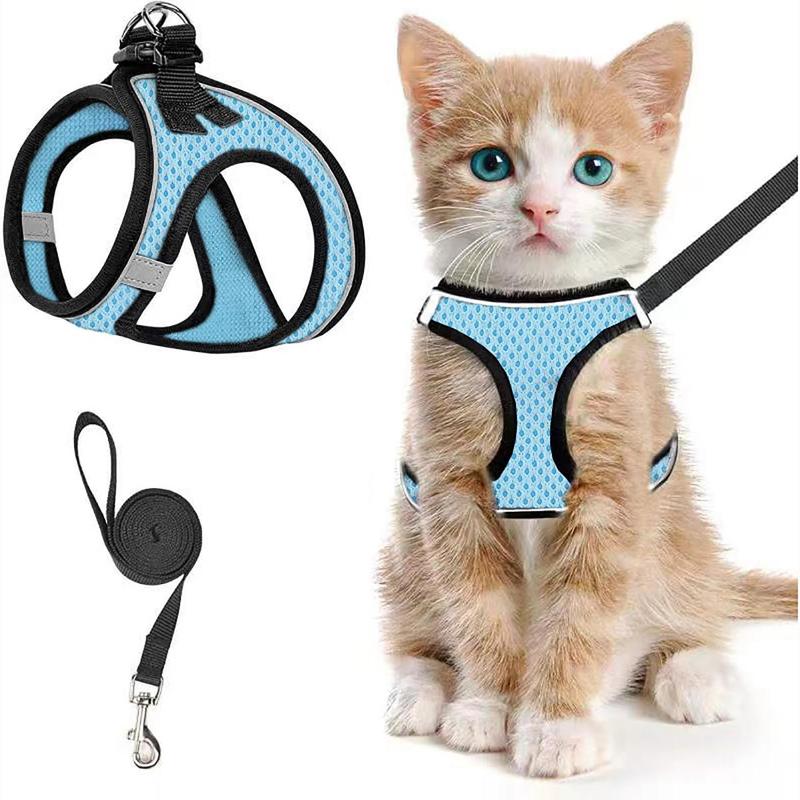 2pcs Adjustable Pet Harness & Leash Set, Breathable Mesh Cat Harness With No Tangle Leash, Pet Supplies For Outdoor Walking