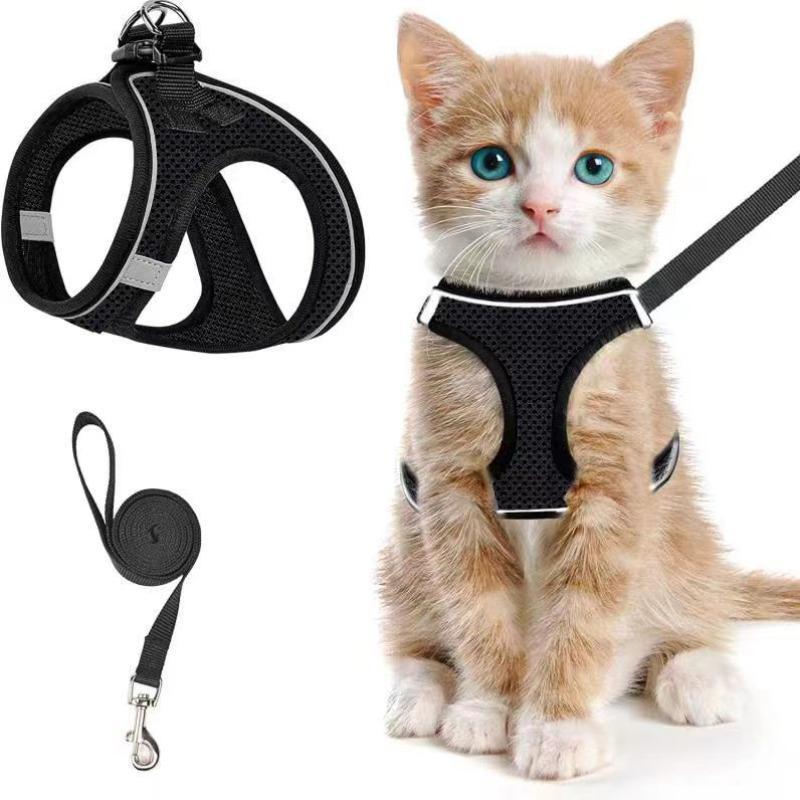 2pcs Adjustable Pet Harness & Leash Set, Breathable Mesh Cat Harness With No Tangle Leash, Pet Supplies For Outdoor Walking