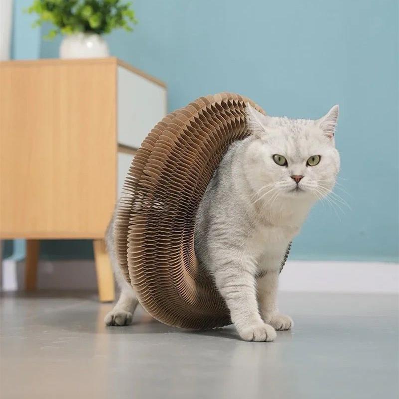 Foldable Cat Toy, Cat Scratcher with Bell, Durable Cat Scratching Toy, Funny Interactive Pet Scratching Toy, Pet Supplies for Indoor Outdoor Use